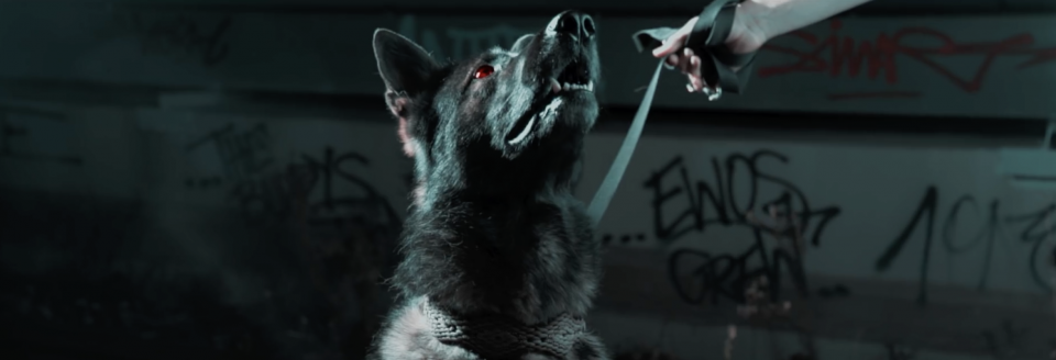 Bildschirmfoto 2020-01-29 um 00.29.51